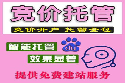 竞价推广实战攻略：成功案例分享